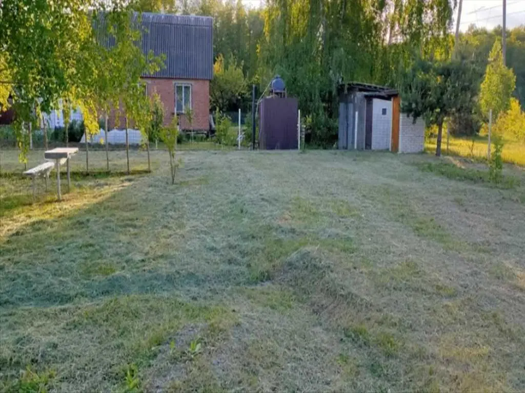 Ділянка в сосновому лісі | Приват житло