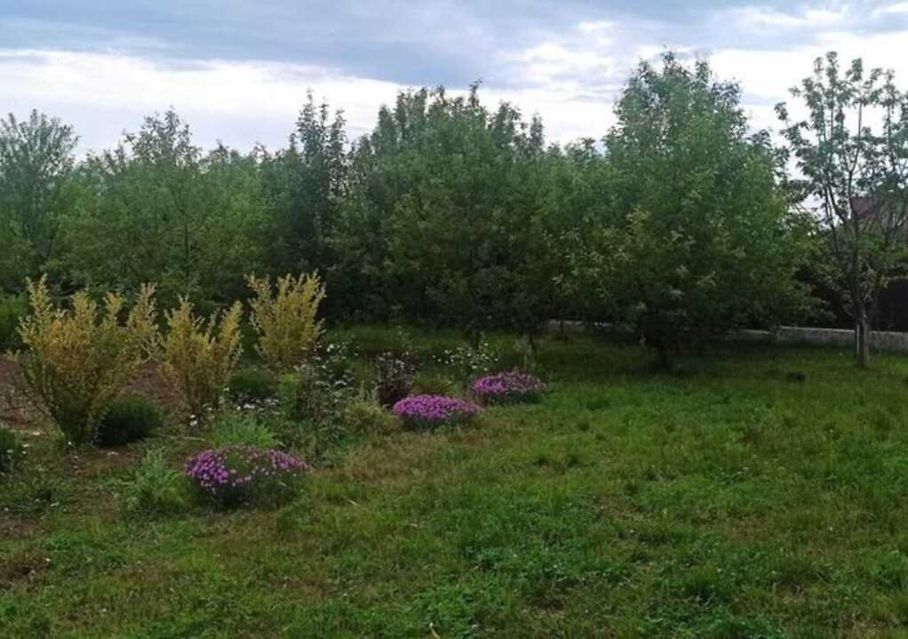 Просторий будинок в тихому місці | Приват житло