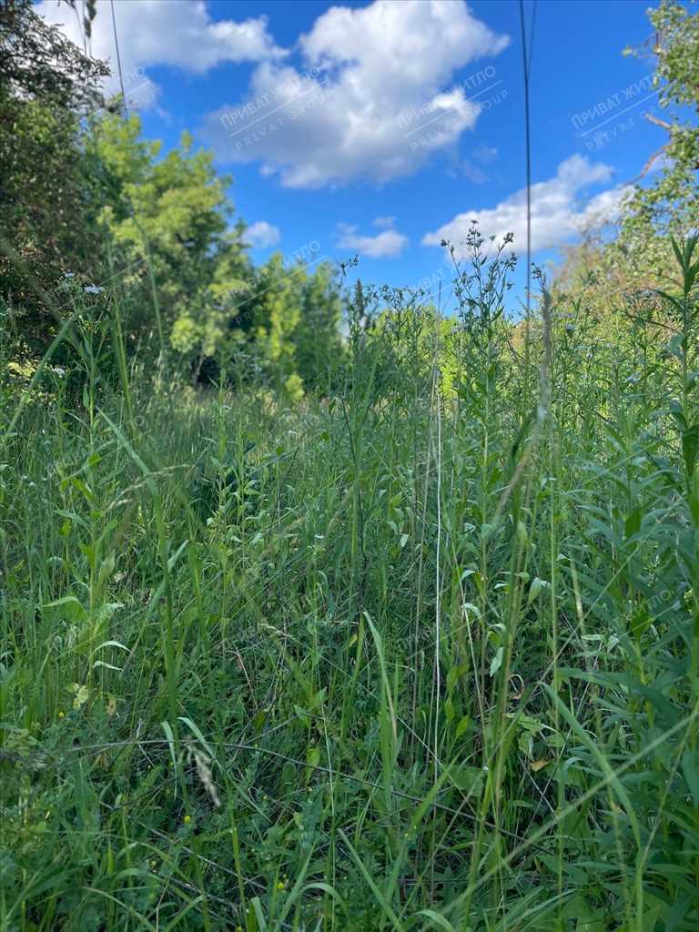 9 км від центру Полтави. Патлаївка. Земля майже даром.  | Приват житло