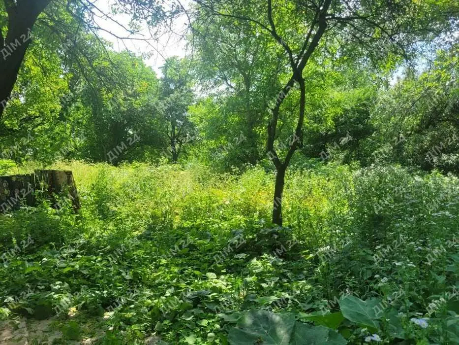Дачна ділянка в Петрівці. | Приват житло