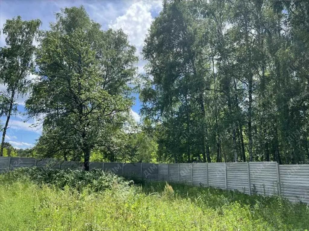 Велика ділянка в сосновому лісі! | Приват житло