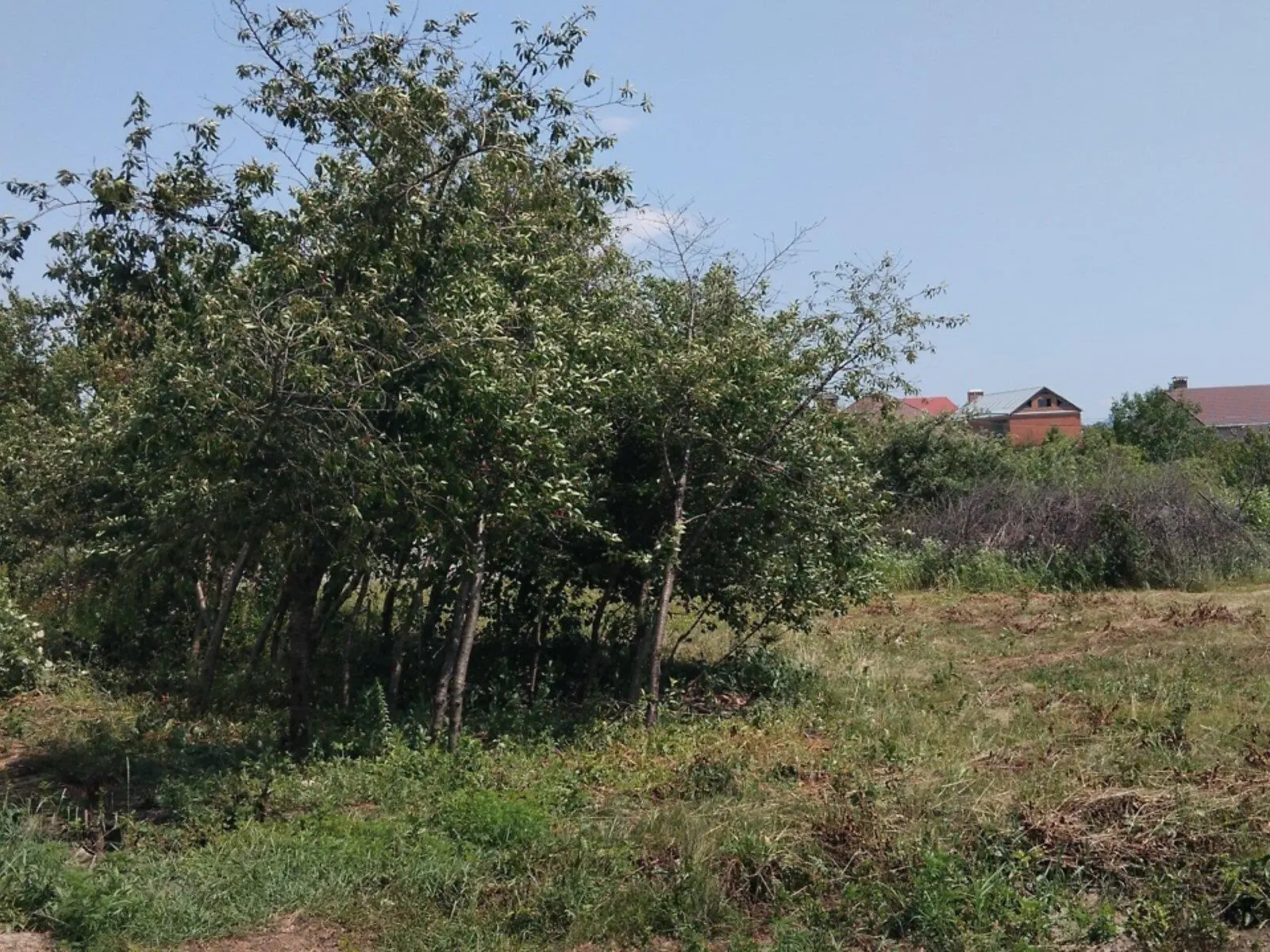 Ділянка під будівництво в Говтвянчику | Приват житло