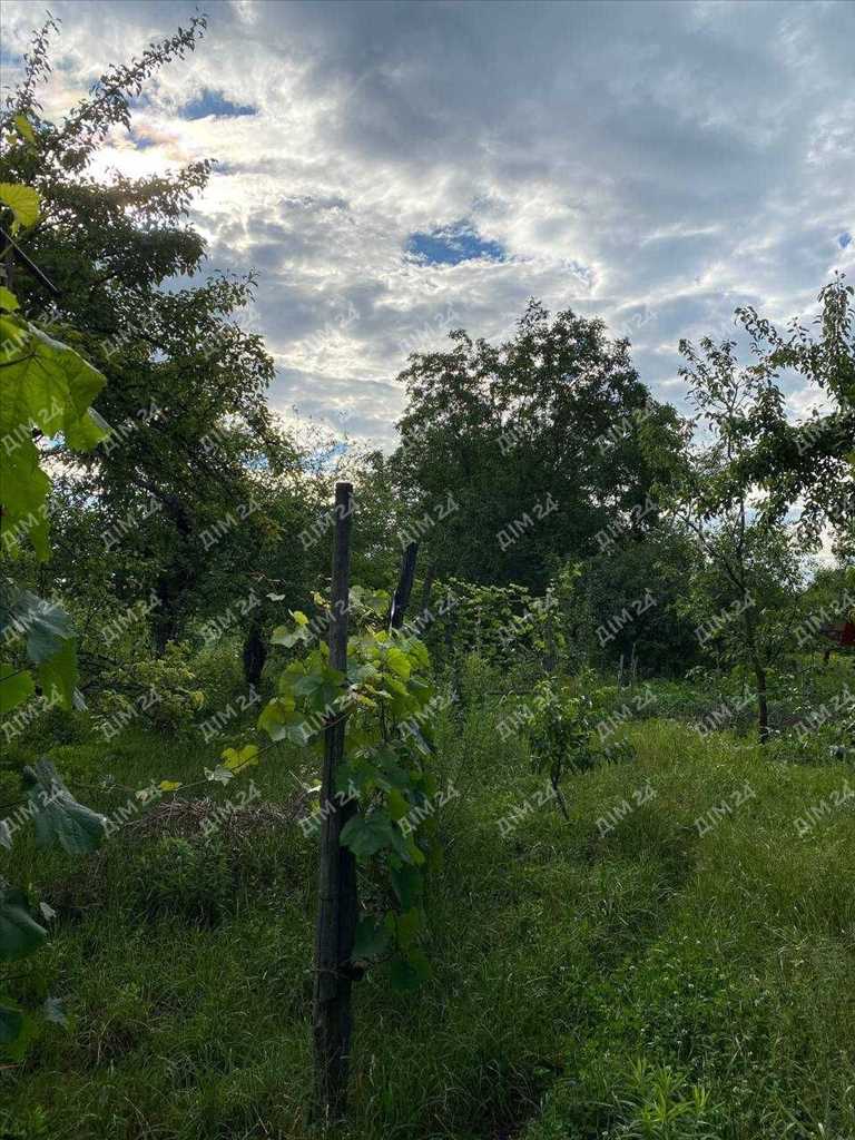 Дачна ділянка з будинком гаражного типу.

 | Приват житло