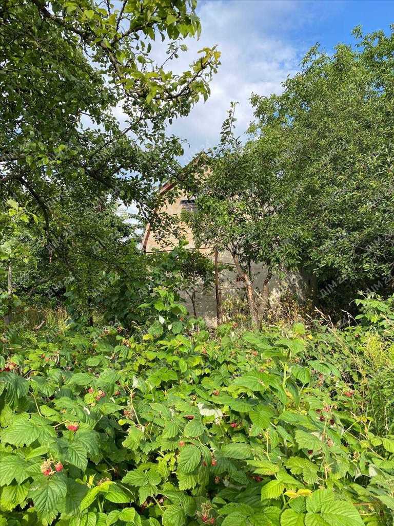 Дачна ділянка з будинком гаражного типу.

 | Приват житло