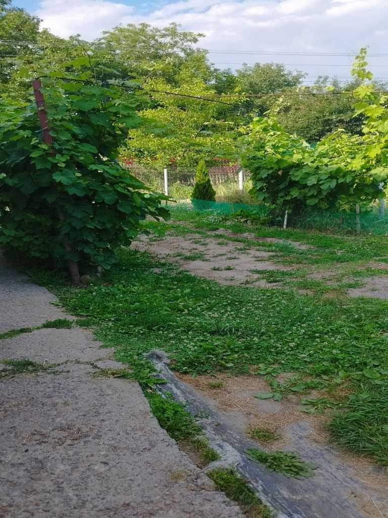 Окремий будинок в Мачухах | Приват житло