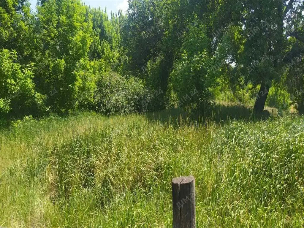 Ділянка під забудову. Село Безручки | Приват житло