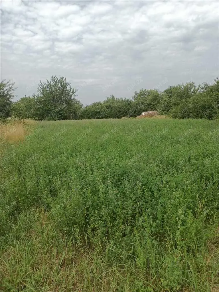 Ділянка неподалік лісу та річки. | Приват житло