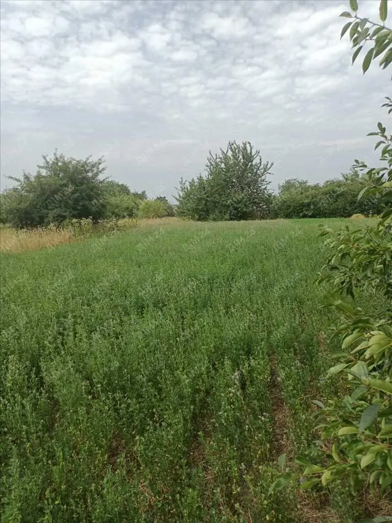 Ділянка неподалік лісу та річки. | Приват житло