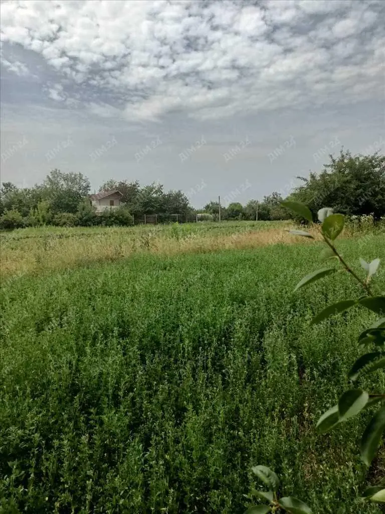 Ділянка неподалік лісу та річки. | Приват житло