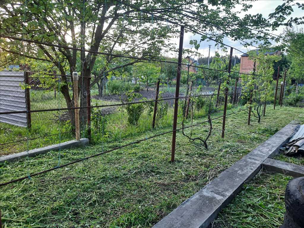 Ділянка в дачному кооперативі! | Приват житло