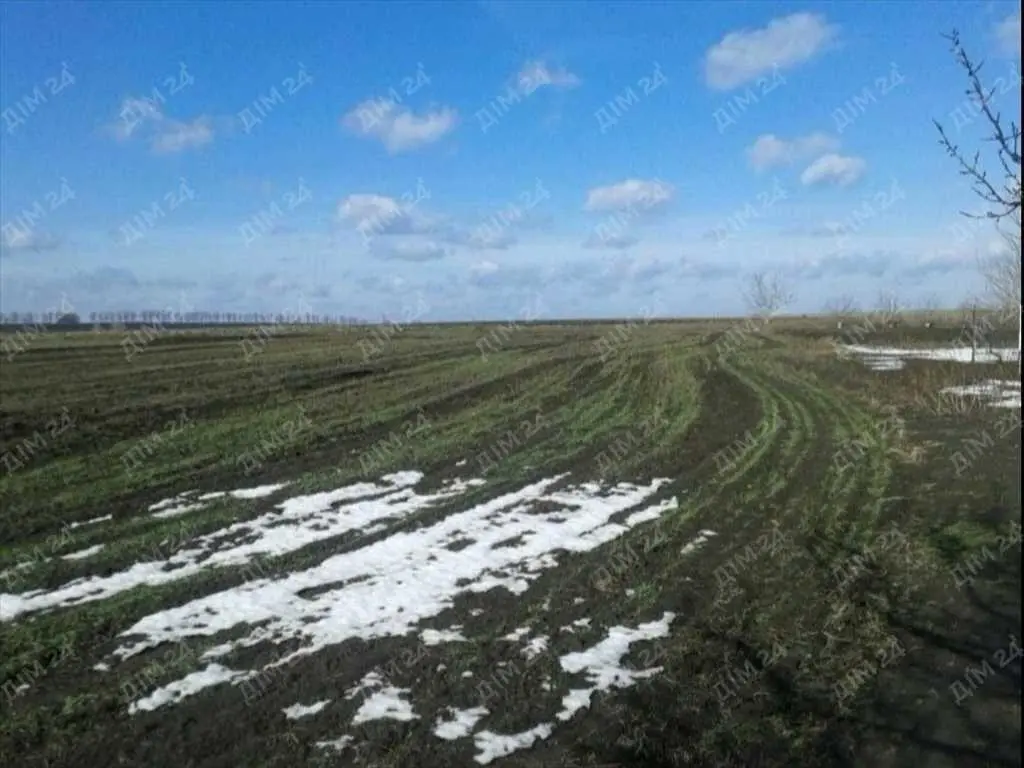 Ділянка в Абазівці на асфальтованій вулиці.  | Приват житло