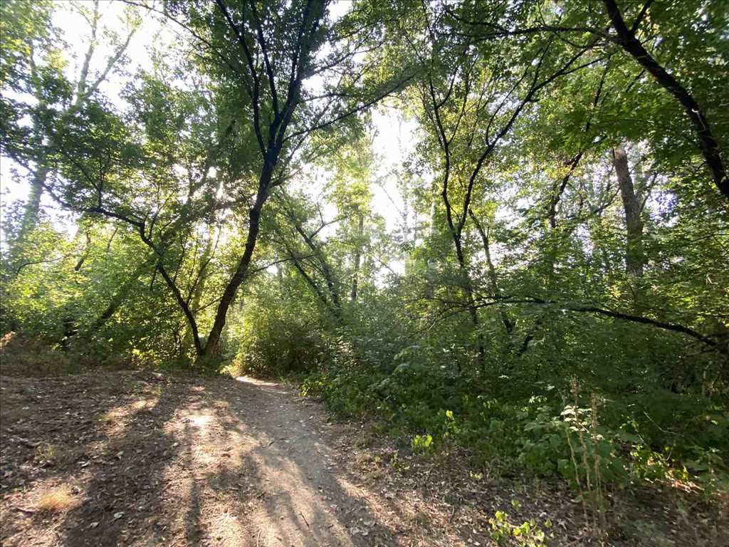 Дача біля річки на Вороніна! | Приват житло