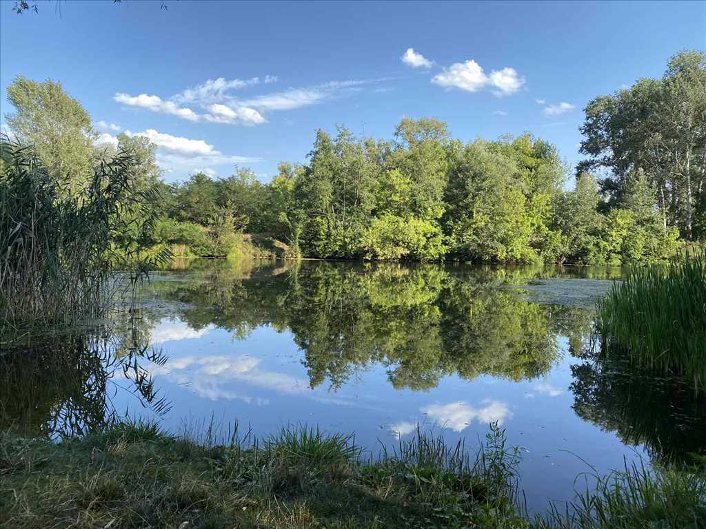 Дача біля річки на Вороніна! | Приват житло