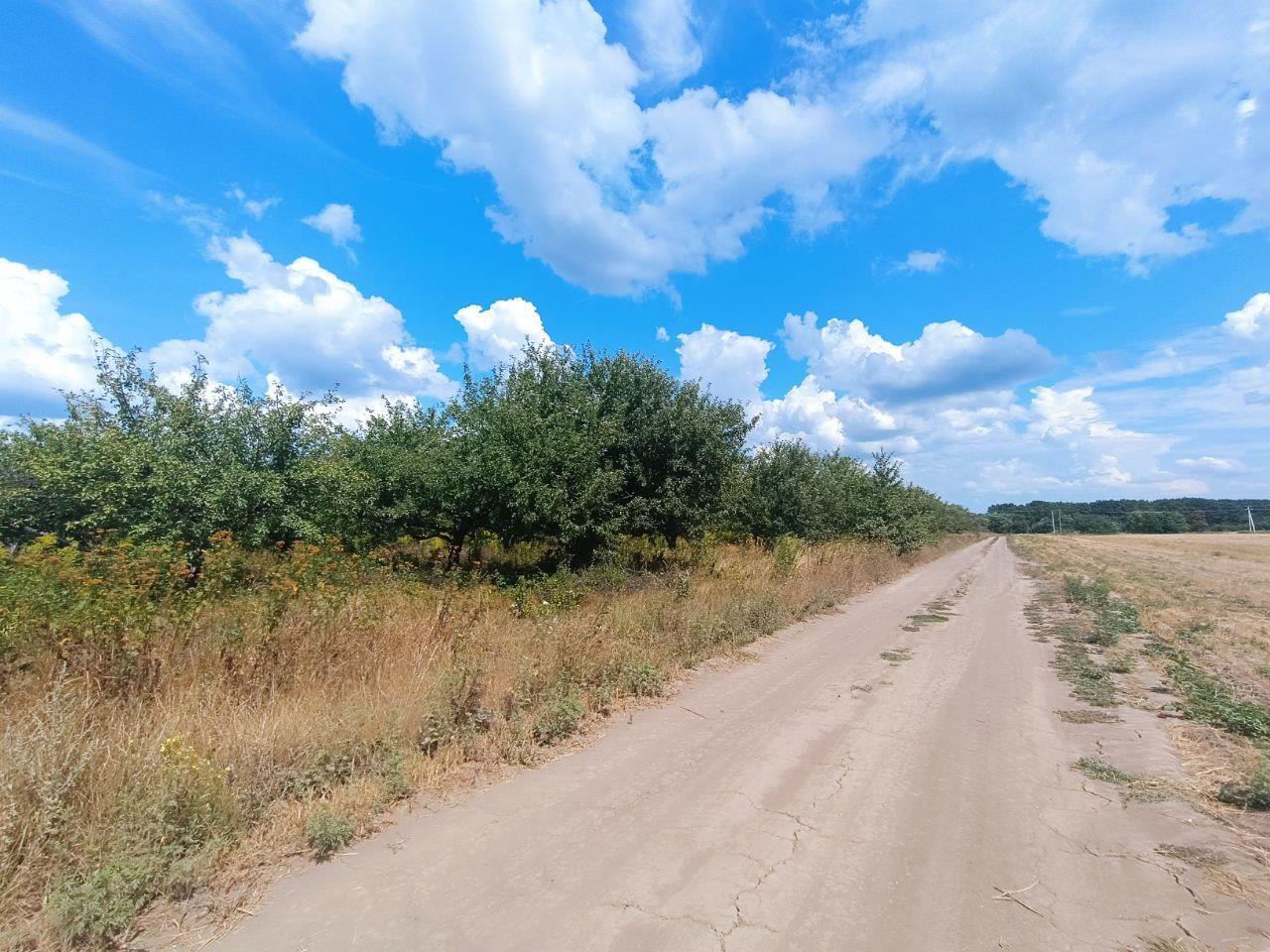 2,75 га в Щербанях | Приват житло