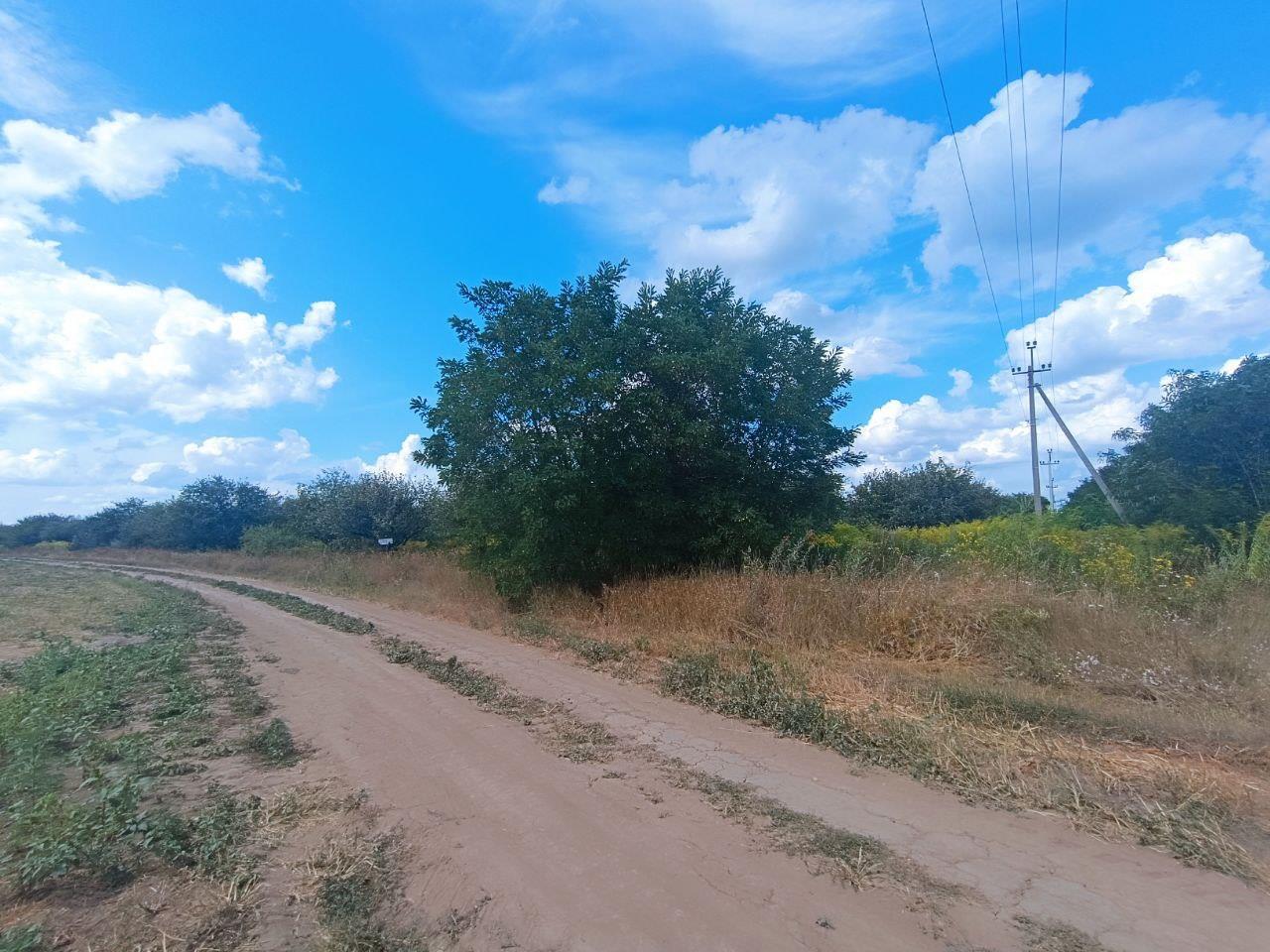 2,75 га в Щербанях | Приват житло