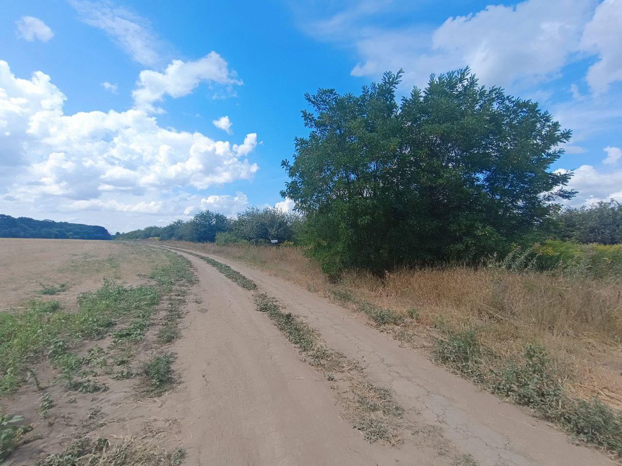 2,75 га в Щербанях | Приват житло