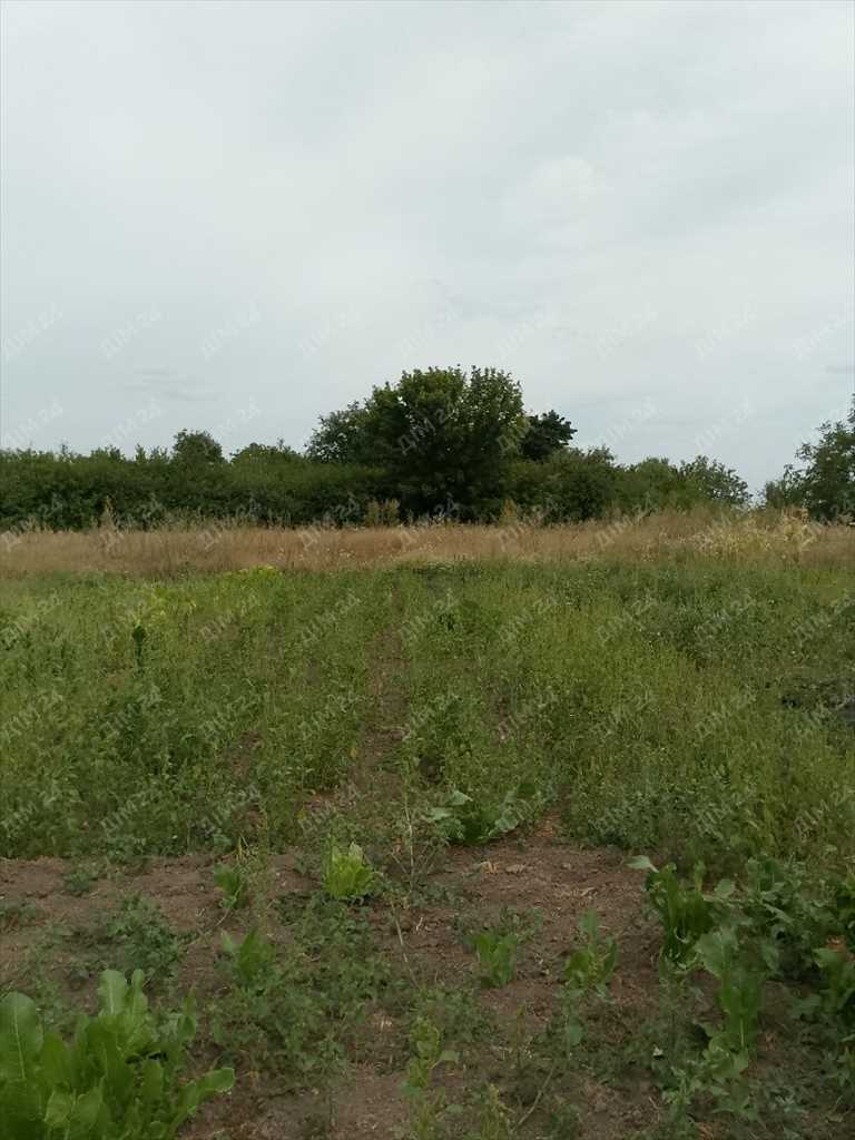 Ділянка у с.Мачухи  | Приват житло