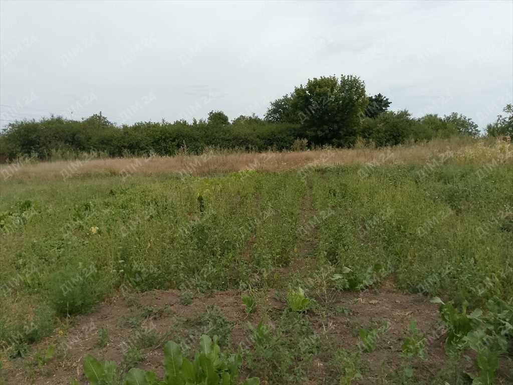 Ділянка у с.Мачухи  | Приват житло