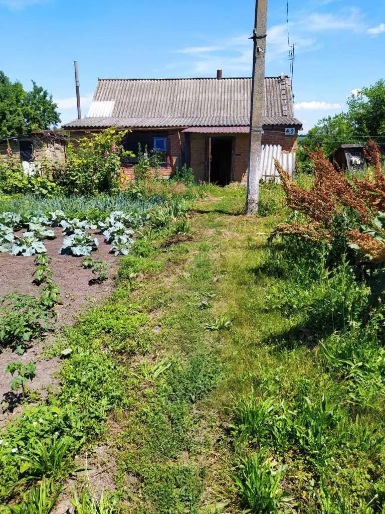 Продаж будинку в Машівці | Приват житло