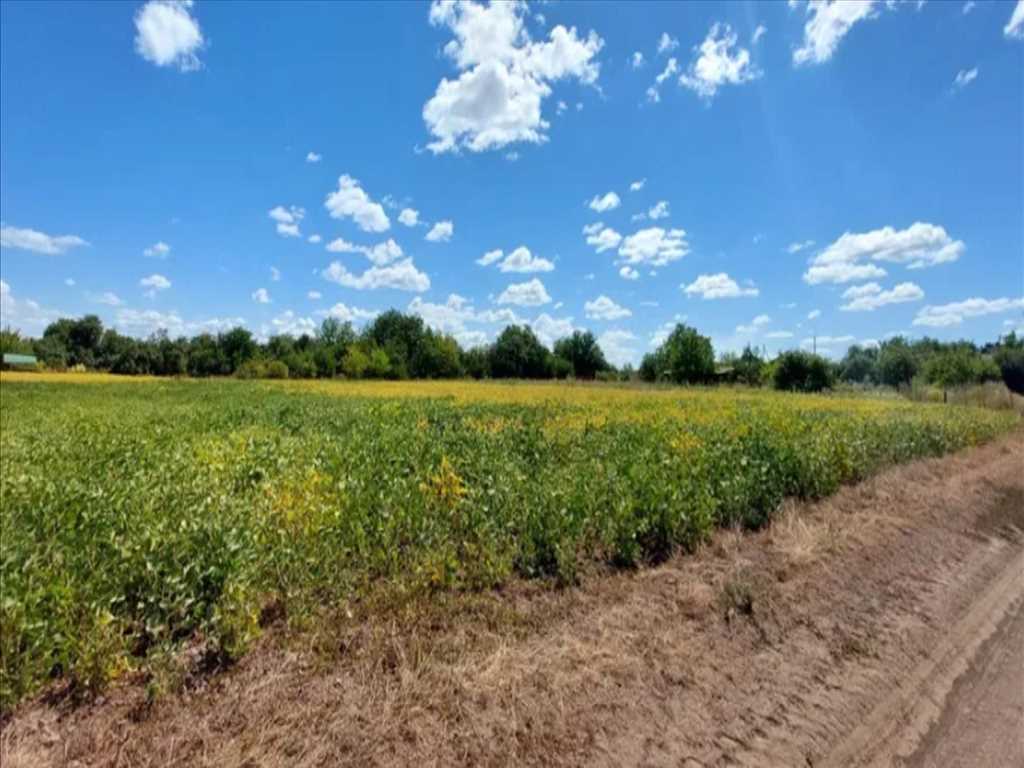 Продаж земельної ділянки в Мачухах | Приват житло