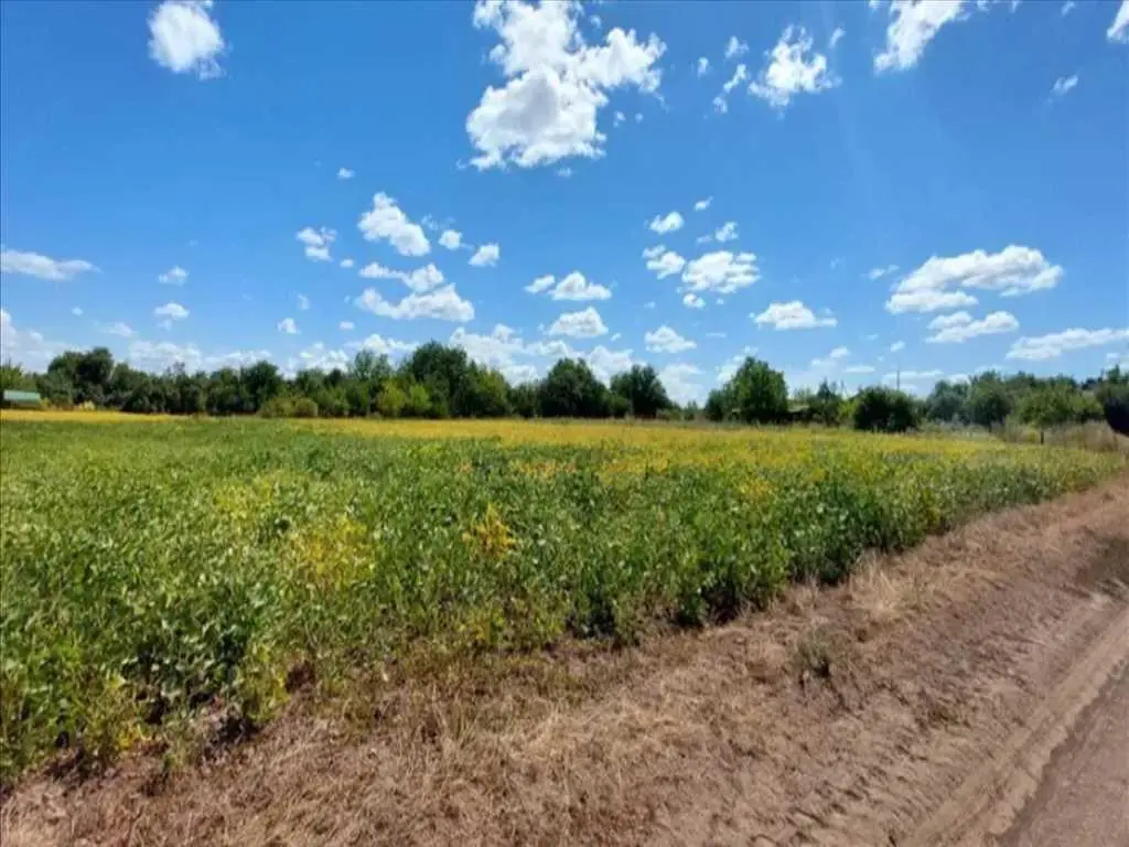 Продаж земельної ділянки в Мачухах | Приват житло