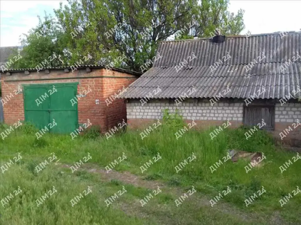 Великий будинок в Селещині | Приват житло