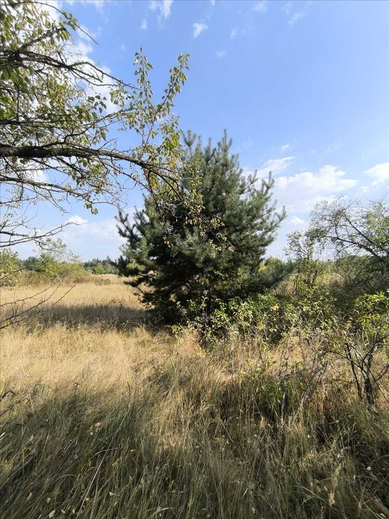 Садова ділянка за містом. | Приват житло