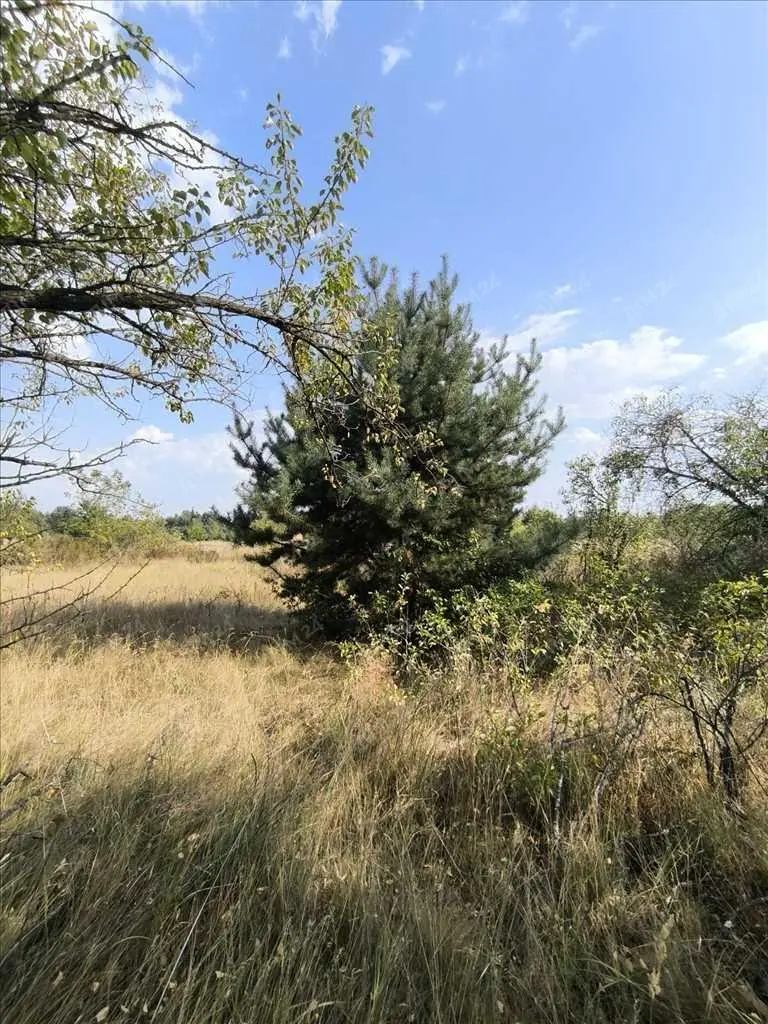 Садова ділянка за містом. | Приват житло