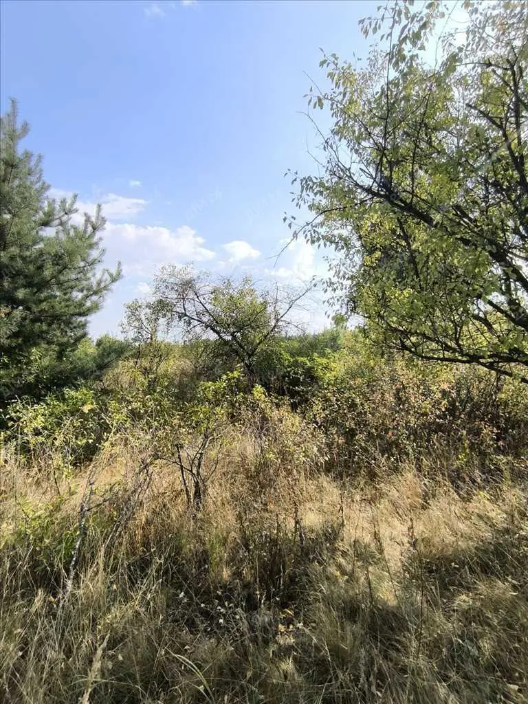 Садова ділянка за містом. | Приват житло