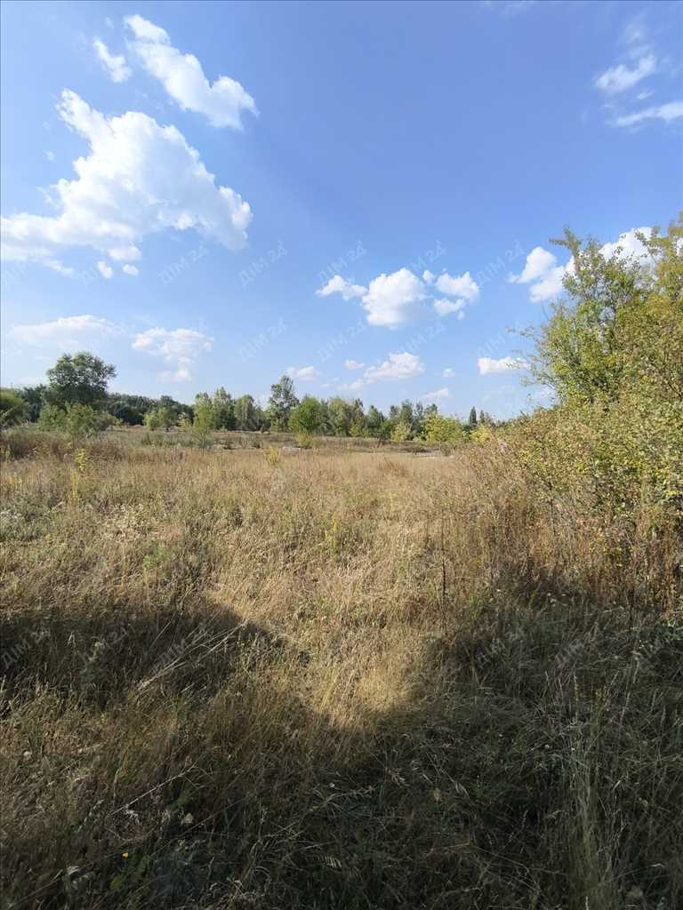 Садова ділянка за містом. | Приват житло