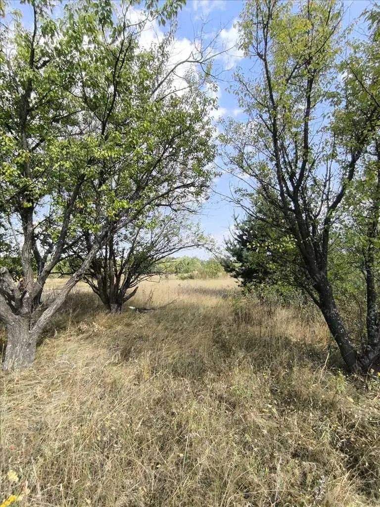 Садова ділянка за містом. | Приват житло