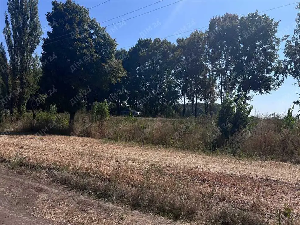 Земельна ділянка в Мачухах | Приват житло