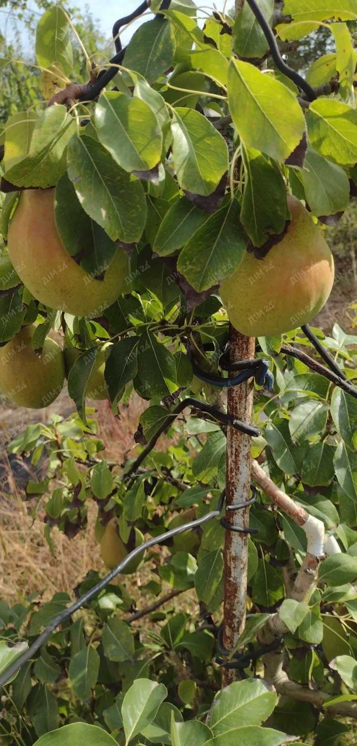 Два дачних будинки на Вороніна! | Приват житло