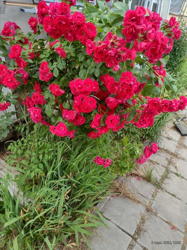 Два дачних будинки на Вороніна! | Приват житло