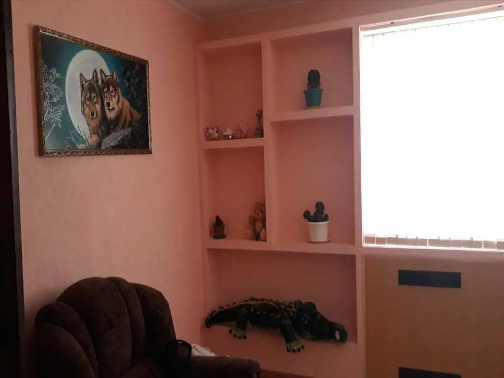 Гарний будинок в селі Руденківка Новосанжарського району | Приват житло