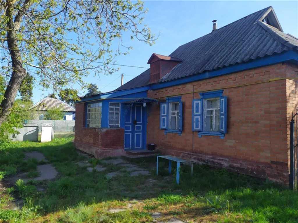 Гарний будинок в селі Руденківка Новосанжарського району | Приват житло