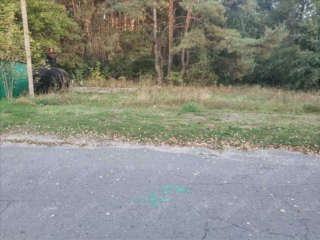 Ділянка з виходом до соснового лісу! | Приват житло
