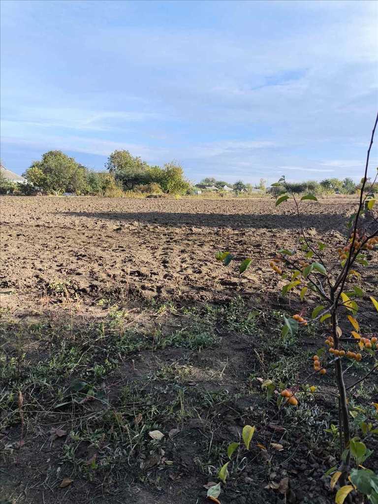 Земельна ділянка в Мачухах! | Приват житло