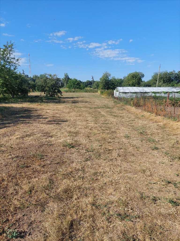 Ділянка під забудову в Мачухах- 15 км від Полтави  | Приват житло