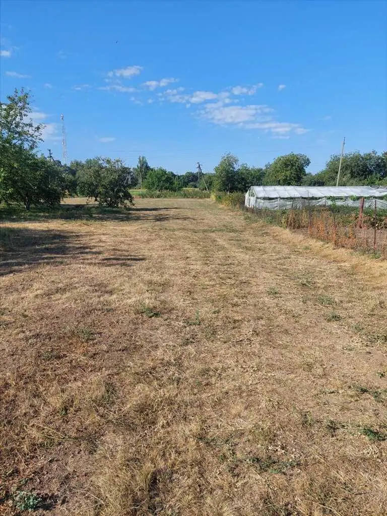 Ділянка під забудову в Мачухах- 15 км від Полтави  | Приват житло