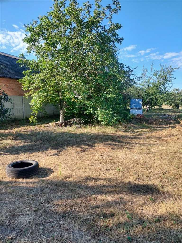 Ділянка під забудову в Мачухах- 15 км від Полтави  | Приват житло