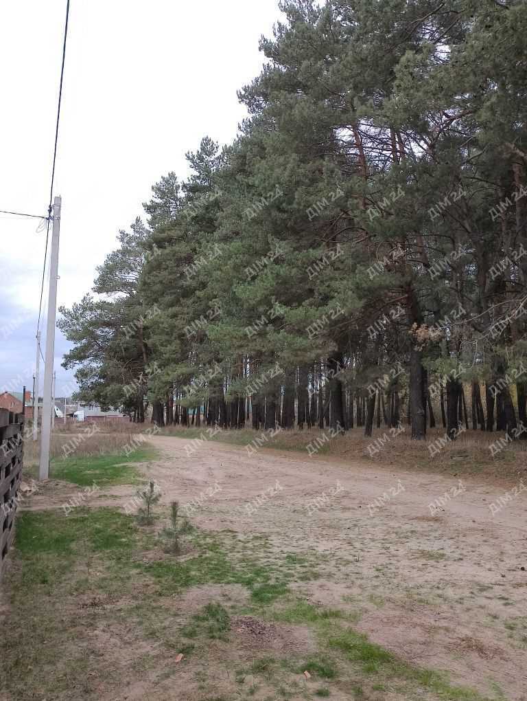 Просторий будинок в мальовничому місці Полтави – ваш ідеальний дім! | Приват житло