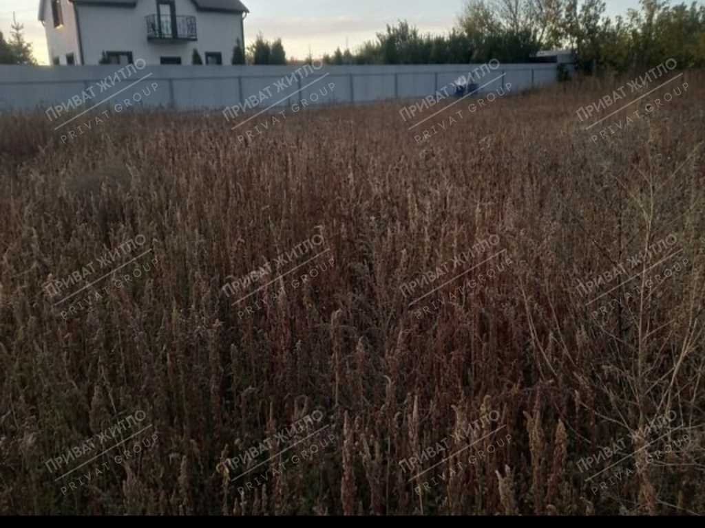 Продаж ділянки в Рибцях | Приват житло