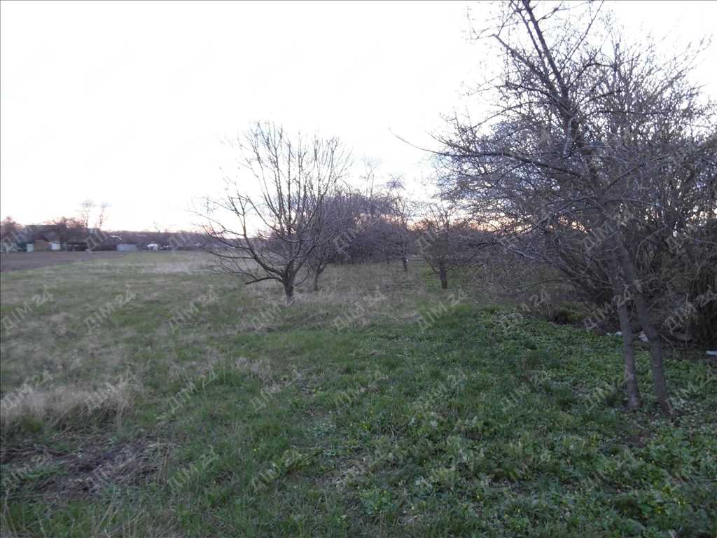 Дача, земельна ділянка в Диканці | Приват житло