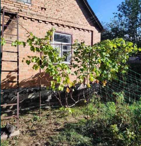 В продажі окремий будинок,р-н Червоний шлях. | Приват житло