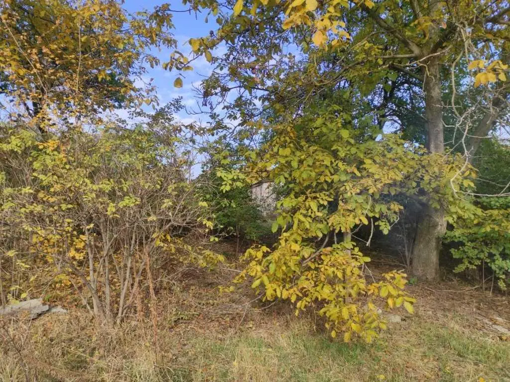 Земельна ділянка в с.Супрунівка | Приват житло