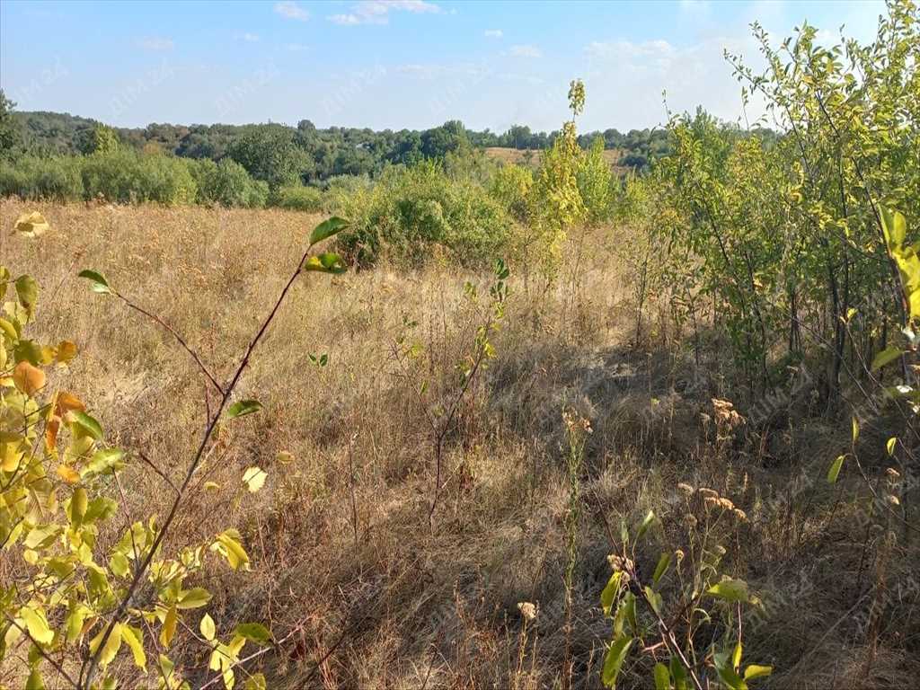 Ділянка 25 соток в Мачухах | Приват житло