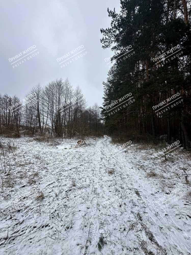  4 ділянки по 10 соток в Вакуленцях | Приват житло