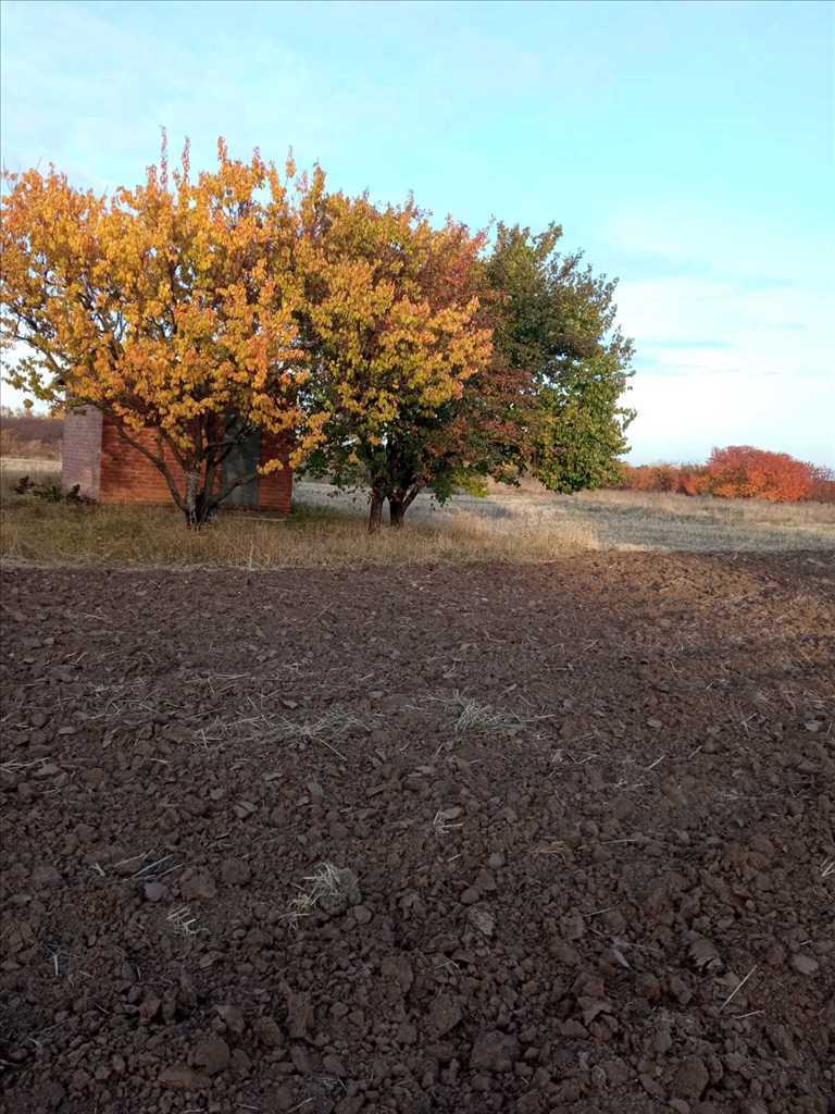 Земельна ділянка майже даром !  | Приват житло