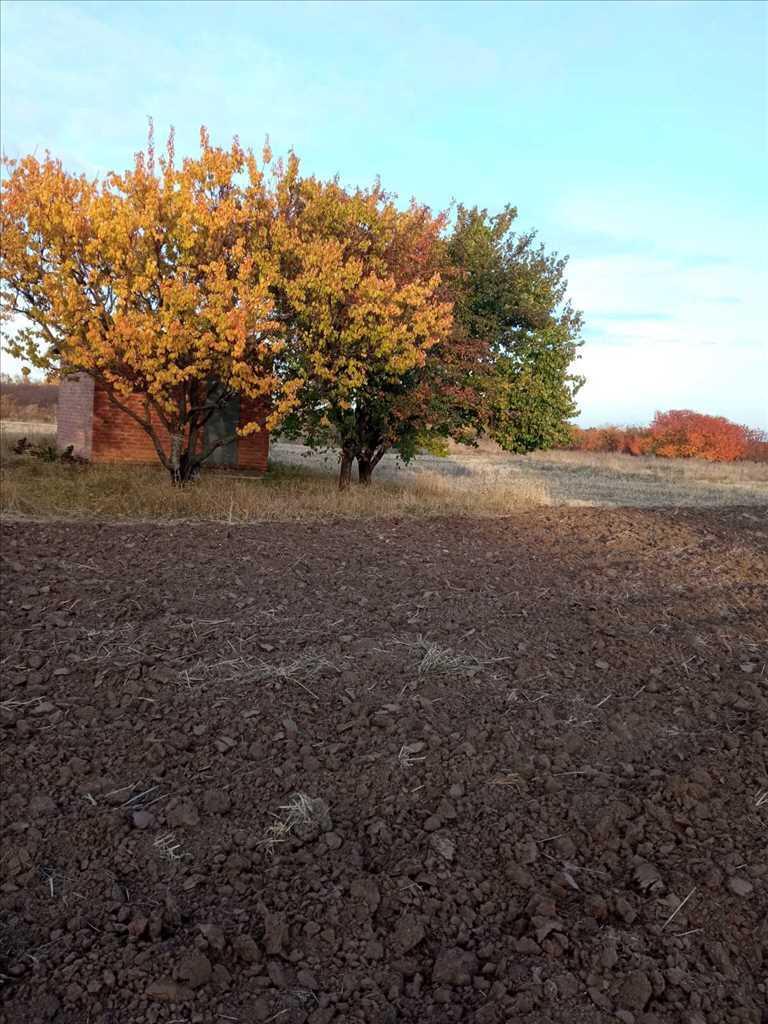 Земельна ділянка майже даром !  | Приват житло